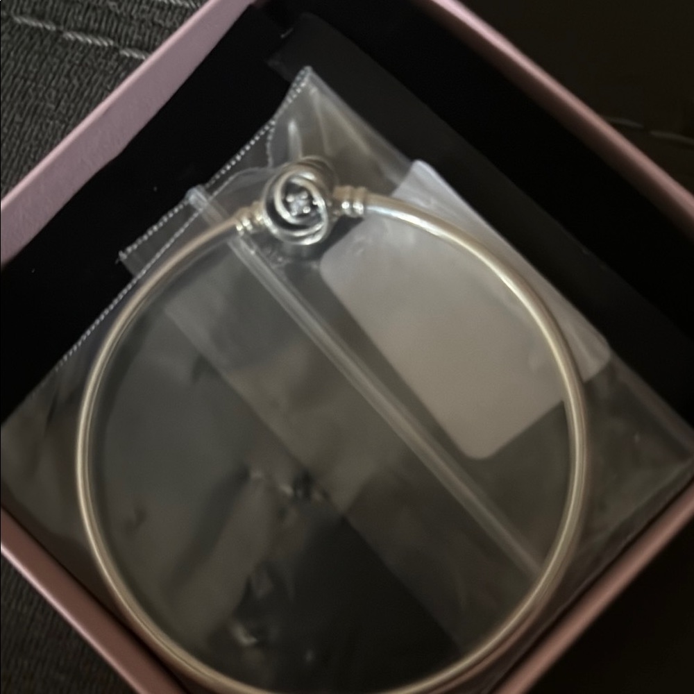 Pandora Silver Encircled Clasp Bangle